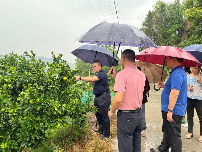 1664435643270443.png 三峽一號.png