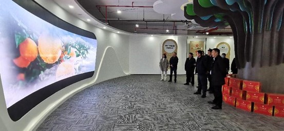 1676003179531287.jpg 5.jpg